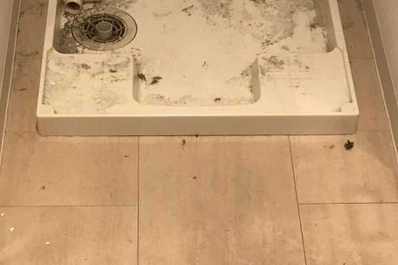 洗濯機置き場